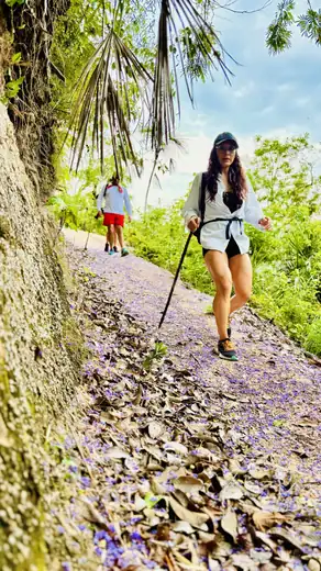 Mismaloya, Puerto Vallarta hiking tour