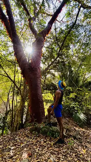 Palo María, Puerto Vallarta hiking tour