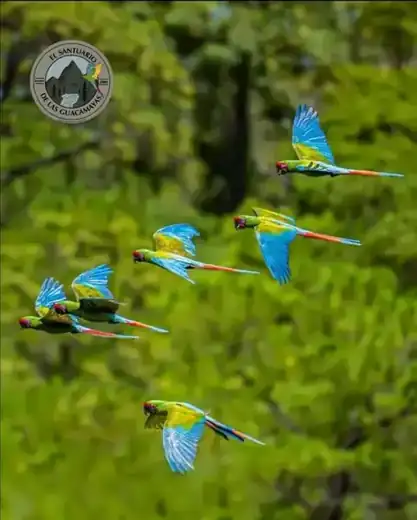 Macaw Sanctuary hiking tour, Puerto Vallarta
