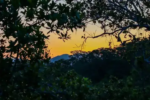 Macaw Sanctuary hiking tour, Puerto Vallarta