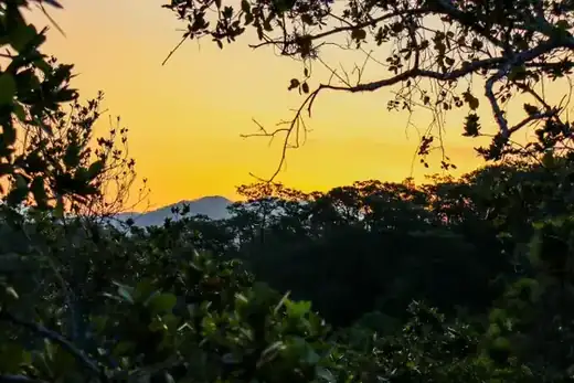Macaw Sanctuary hiking tour, Puerto Vallarta