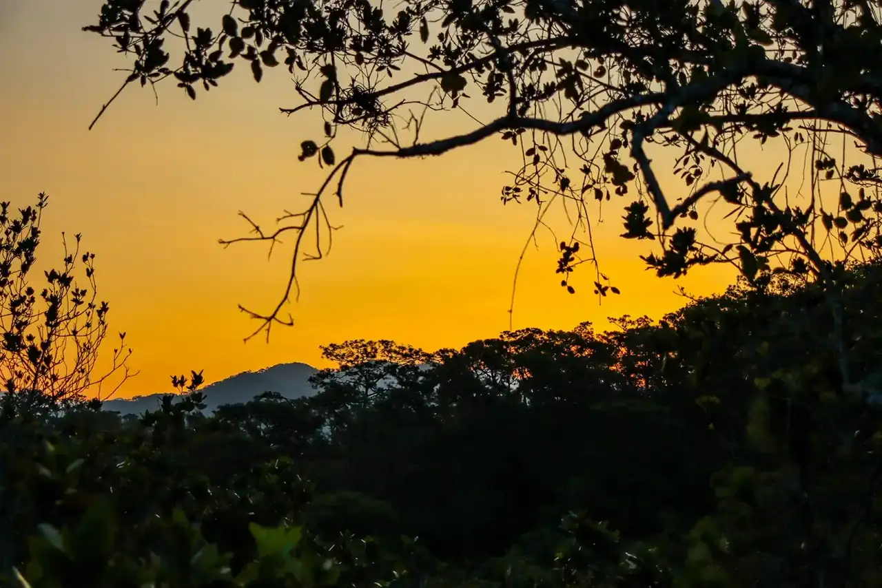 Macaw Sanctuary hiking tour, Puerto Vallarta