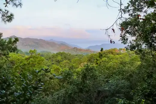 Macaw Sanctuary hiking tour, Puerto Vallarta