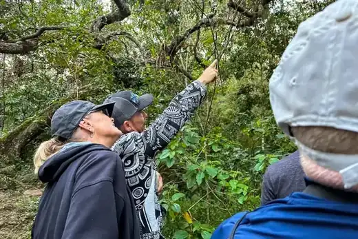 Macaw Sanctuary, Puerto Vallarta hiking tour
