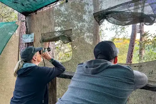 Macaw Sanctuary, Puerto Vallarta hiking tour