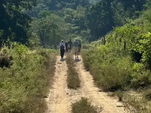 Macaw Sanctuary, Puerto Vallarta hiking tour