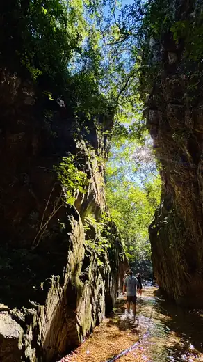 El Nogalito, Puerto Vallarta hiking tour