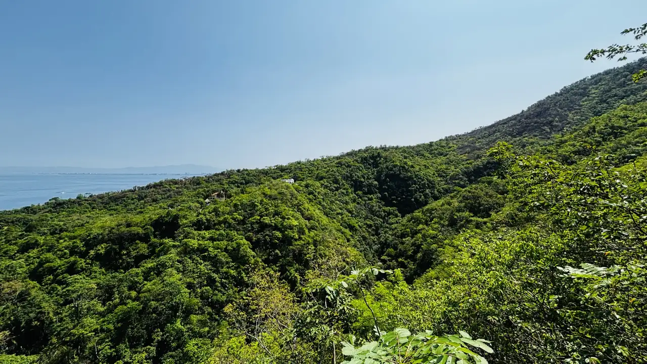 Palo María: the waterfall hike that earns your swim