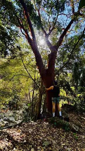 Palo María, Puerto Vallarta hiking tour
