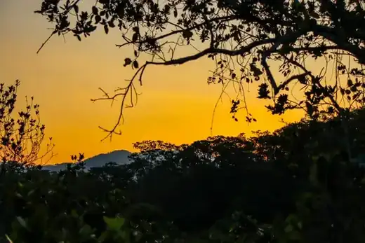 Macaw Sanctuary hiking tour