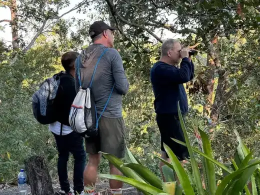 Macaw Sanctuary, Puerto Vallarta hiking tour