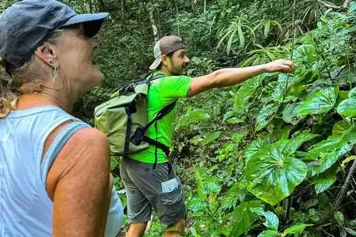 Macaw Sanctuary, Puerto Vallarta hiking tour