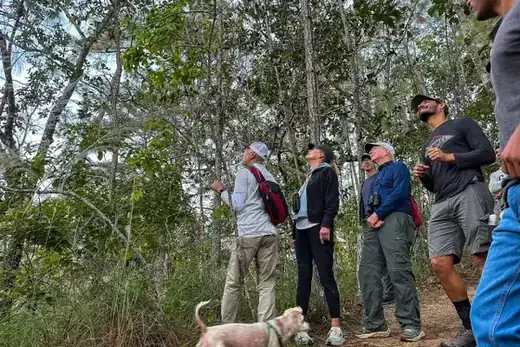 Macaw Sanctuary, Puerto Vallarta hiking tour