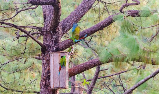 SANTUARIODELASGUACAMAYA7